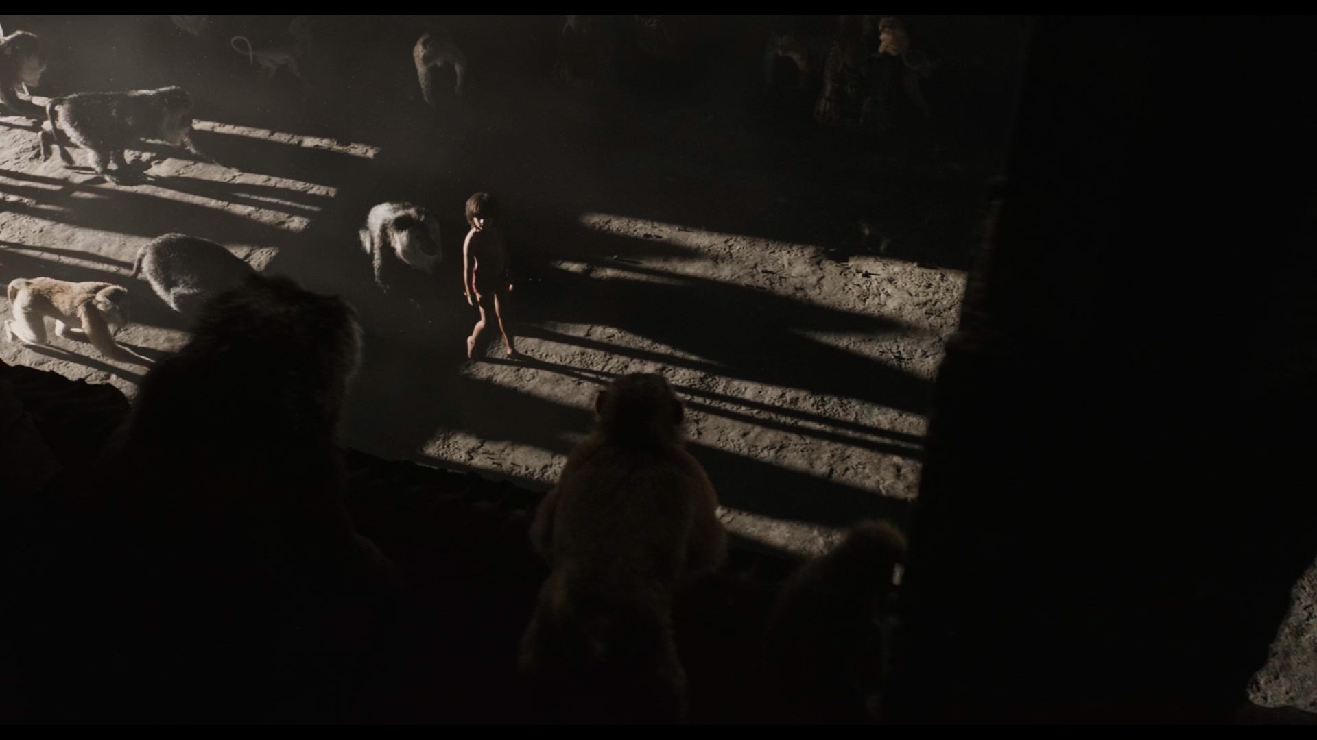 Still 2025 11 01 162226 1.5.1